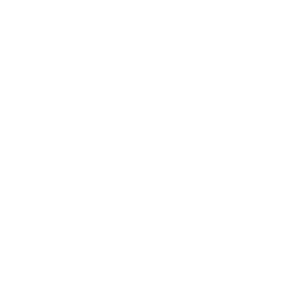 Bruusgaard Logo